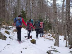 photo coins arrondis